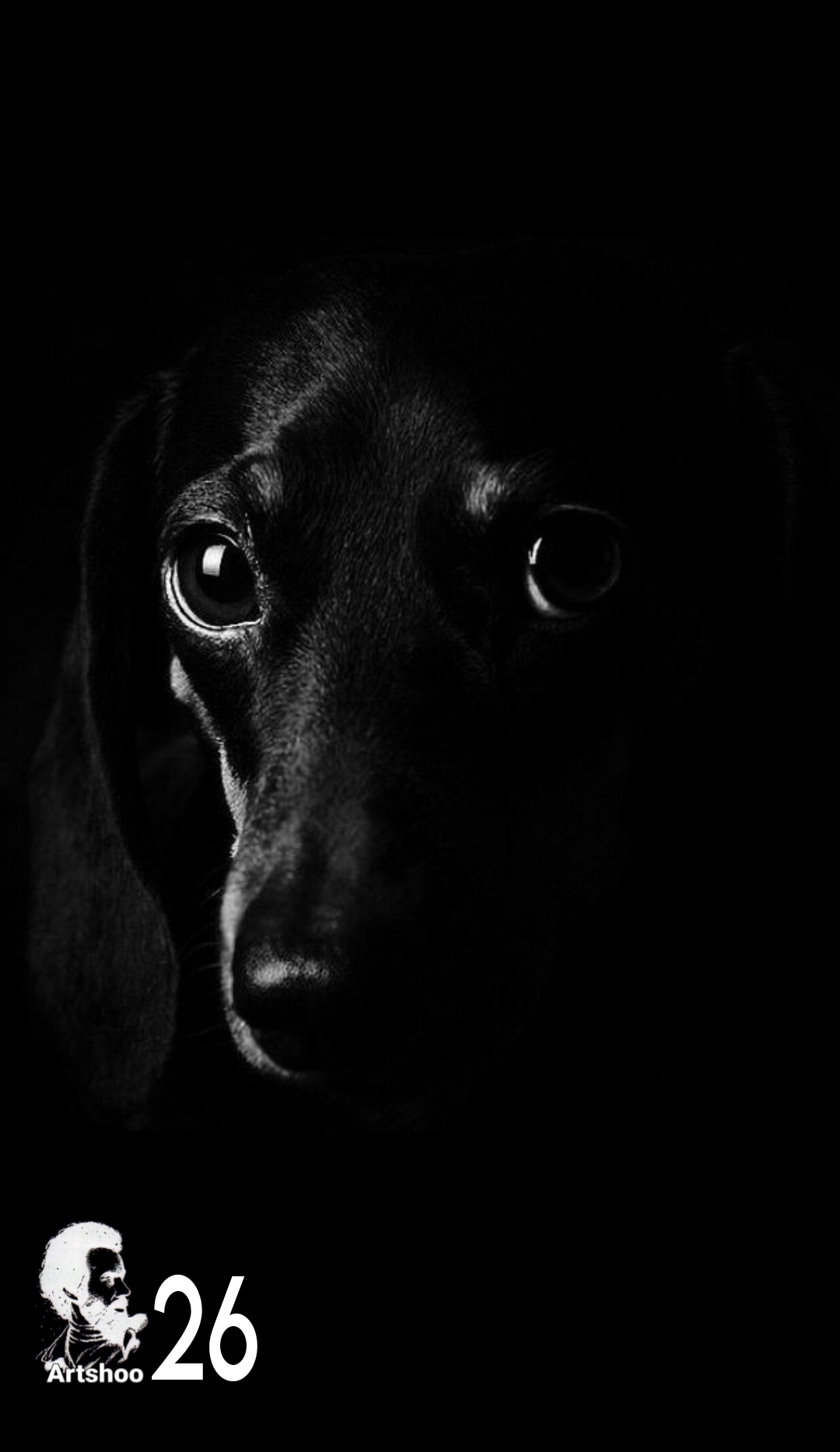 آموزش نقاشی طراحی سیاه قلم شهرری